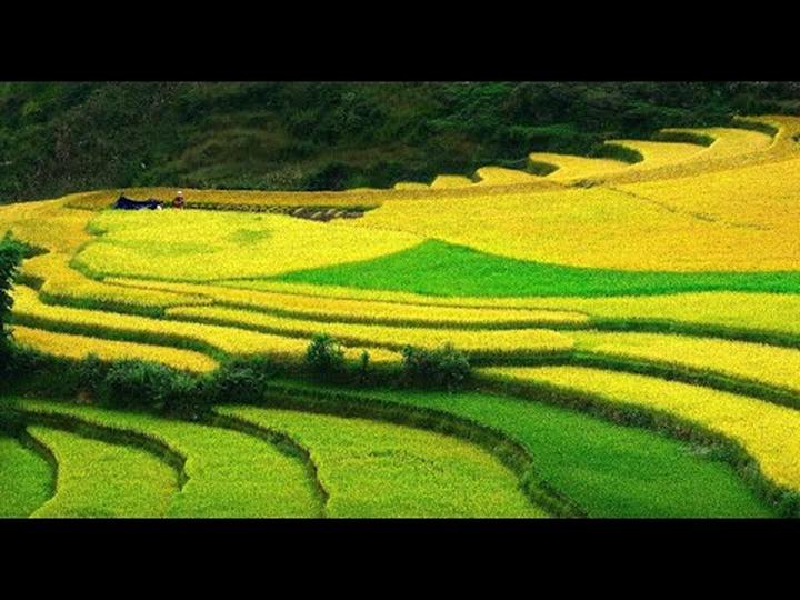 Pháo: “Nếu có thể khiến ai đó - Cảm hứng video marketing từ Hotspot Matrix