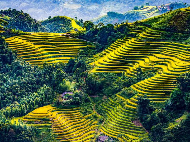 Hotspot Matrix và những chiếc tò he truyền thống Việt Nam