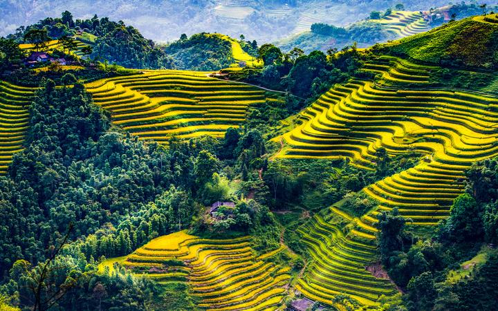Hotspot Matrix: Tự động hóa hiệu suất với công nghệ tích hợp tài nguyên