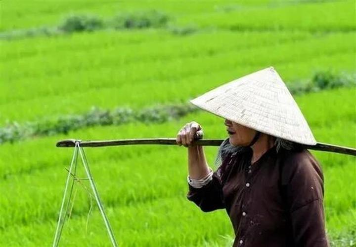 Vàng từ những khoảnh khắc đáng yêu: Kiếm tiền từ thú cưng với Hotspot Matrix